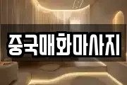 중국매화마사지