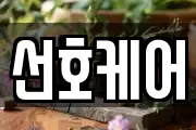 선호케어