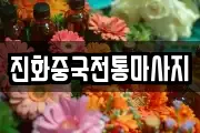 진화중국전통마사지