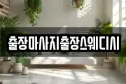 출장마사지출장스웨디시