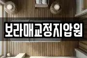 보라매교정지압원