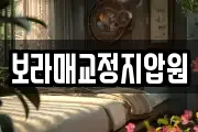 보라매교정지압원