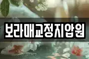 보라매교정지압원