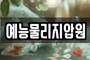 예능물리지압원