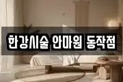 한강시술 안마원 동작점