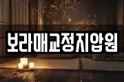 보라매교정지압원