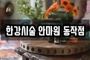 한강시술 안마원 동작점