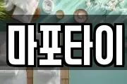 마포타이