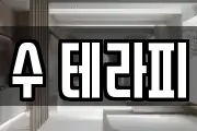 수 테라피