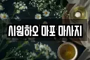 서울 마포구 마포동 마사지, 지압등 업체정보