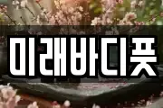 미래바디풋