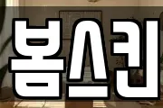 봄스킨