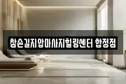 참손길지압마사지힐링센터 합정점