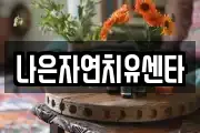 나은자연치유센타