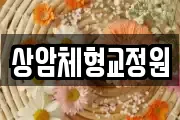 상암체형교정원