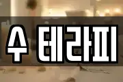 수 테라피