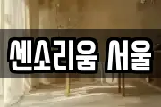 센소리움 서울