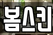 봄스킨