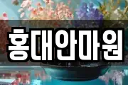 홍대안마원