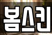 봄스킨