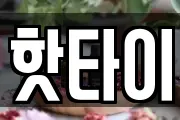 핫타이