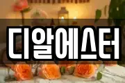 디알에스터