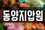 동양지압원