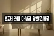스포테라피 마사지 광화문세종