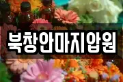 북창안마지압원