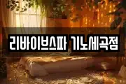 리바이브스파 기노세곡점
