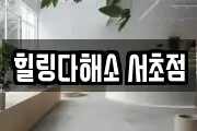 서울 서초구 내곡동 마사지, 지압등 업체정보