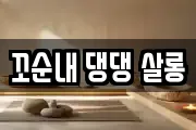 꼬순내 댕댕 살롱