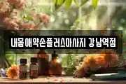 내몸애약손플러스마사지 강남역점