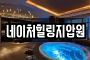 네이처힐링지압원
