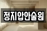 정지압안술원