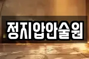 정지압안술원