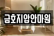 서울 성동구 금호동3가 마사지, 지압등 업체정보