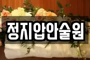 정지압안술원