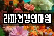 라파건강안마원