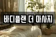 바디플랜 더 마사지