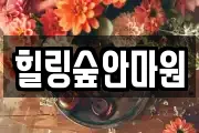 힐링숲안마원