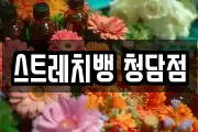 스트레치뱅 청담점