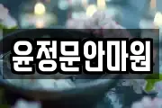 윤정문안마원