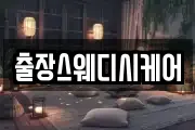 출장스웨디시케어