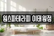 원스파테라피 이태원점