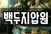 백두지압원