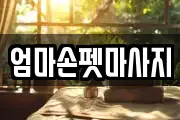 엄마손펫마사지