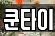쿤타이