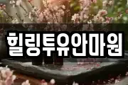 힐링투유안마원