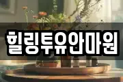 힐링투유안마원